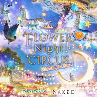 2019年2月福岡の絶対おすすめイベント20選【 デートや子供向けのイベントも】