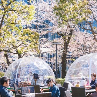 2019年4月東京の絶対おすすめイベント20選【 デートや子供向けのイベントも】