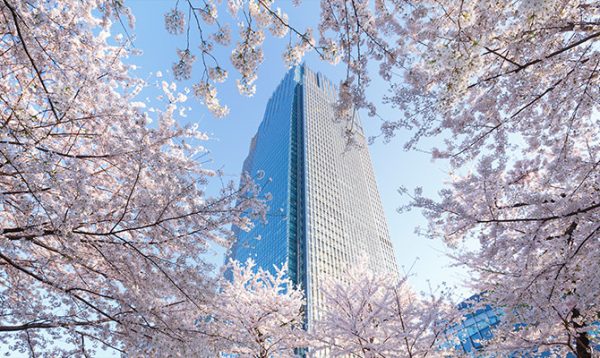 東京ミッドタウンの桜