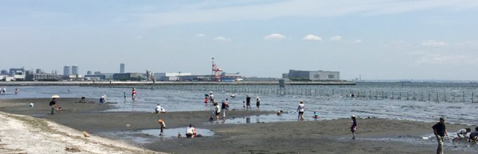ふなばし三番瀬海浜公園 